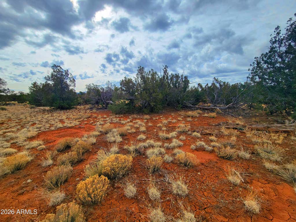 Photo of 694 S Lodestar Drive #353, Williams, AZ 86046 (MLS # 7056086)