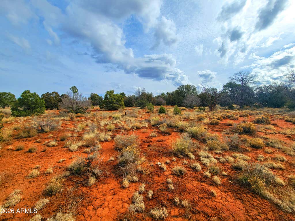 Photo of 694 S Lodestar Drive #353, Williams, AZ 86046 (MLS # 7056086)
