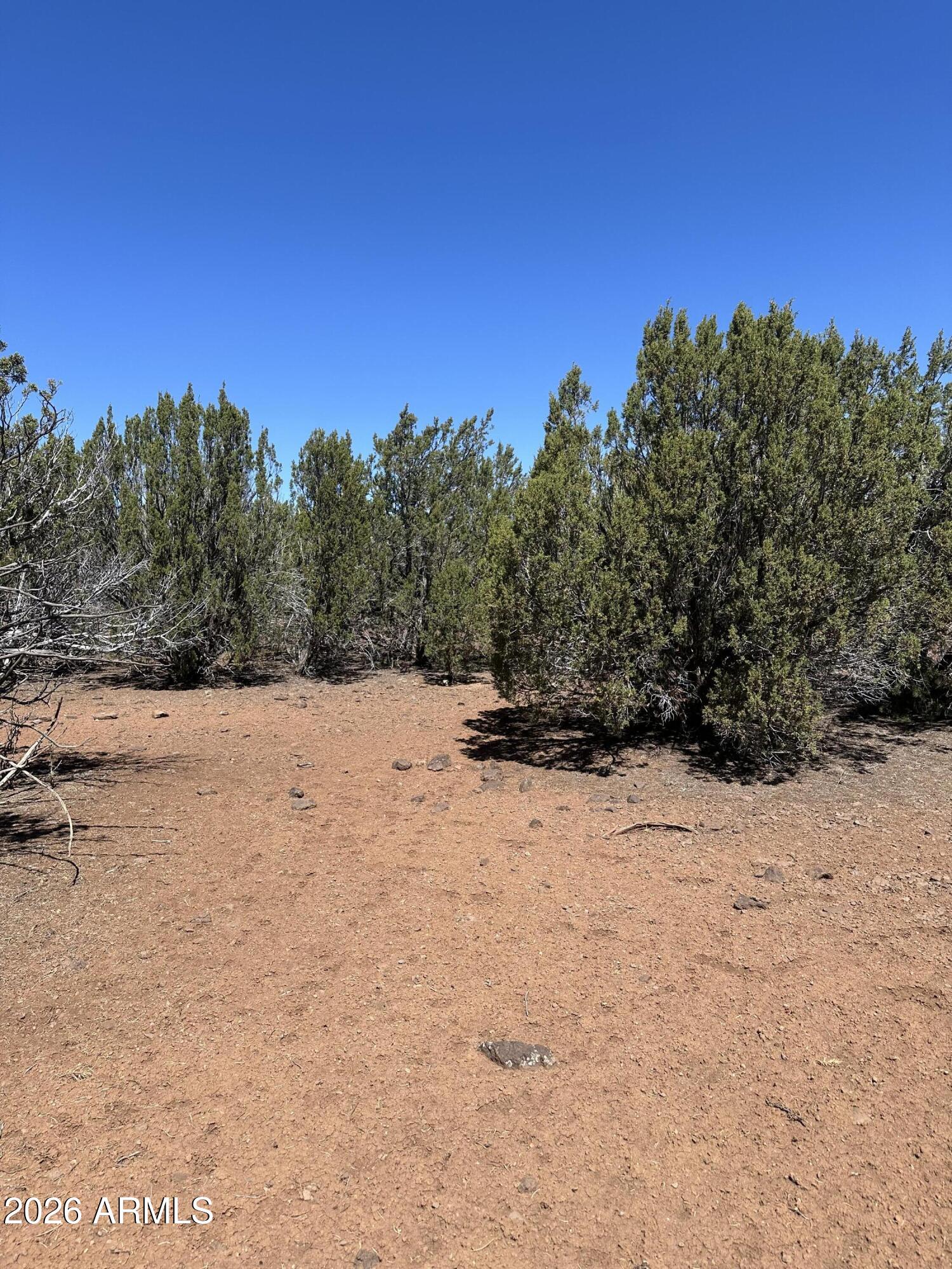 30 ACR 3190 Road 351