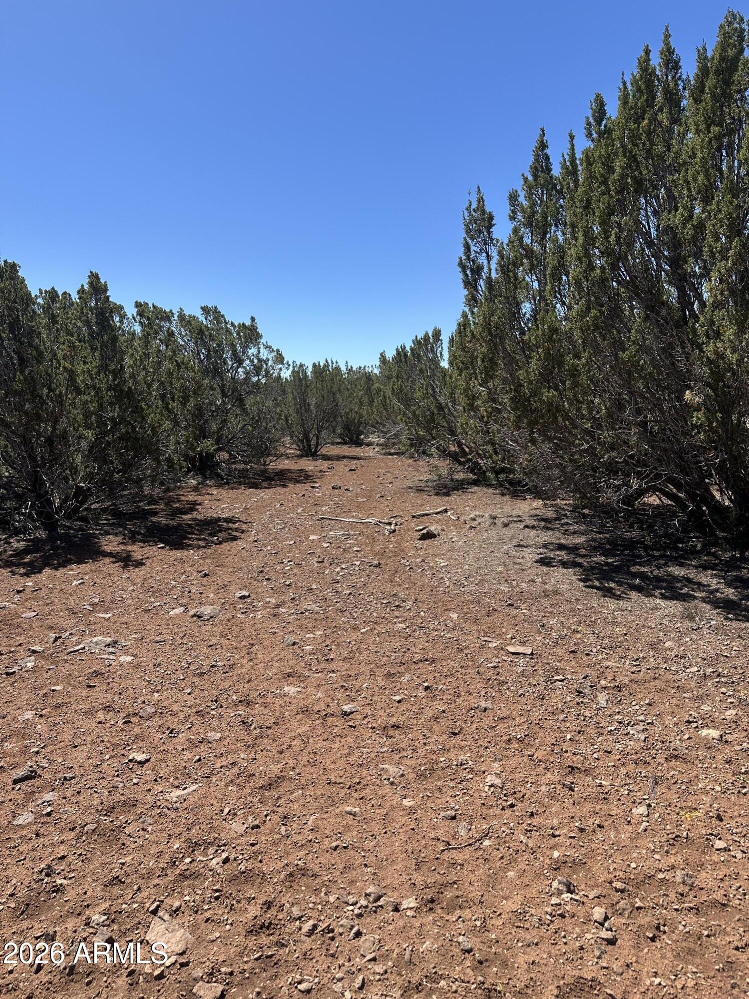 30 ACR 3190 Road 351