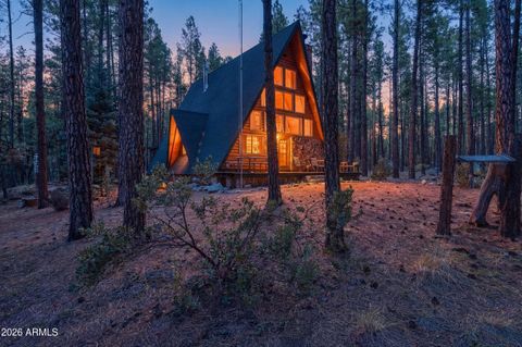 183 W Raven Road Christopher Creek AZ 85541