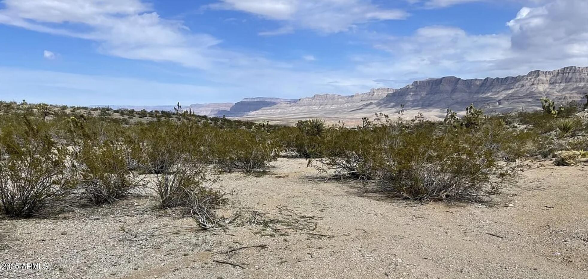 540 W Silver Creek Lane -