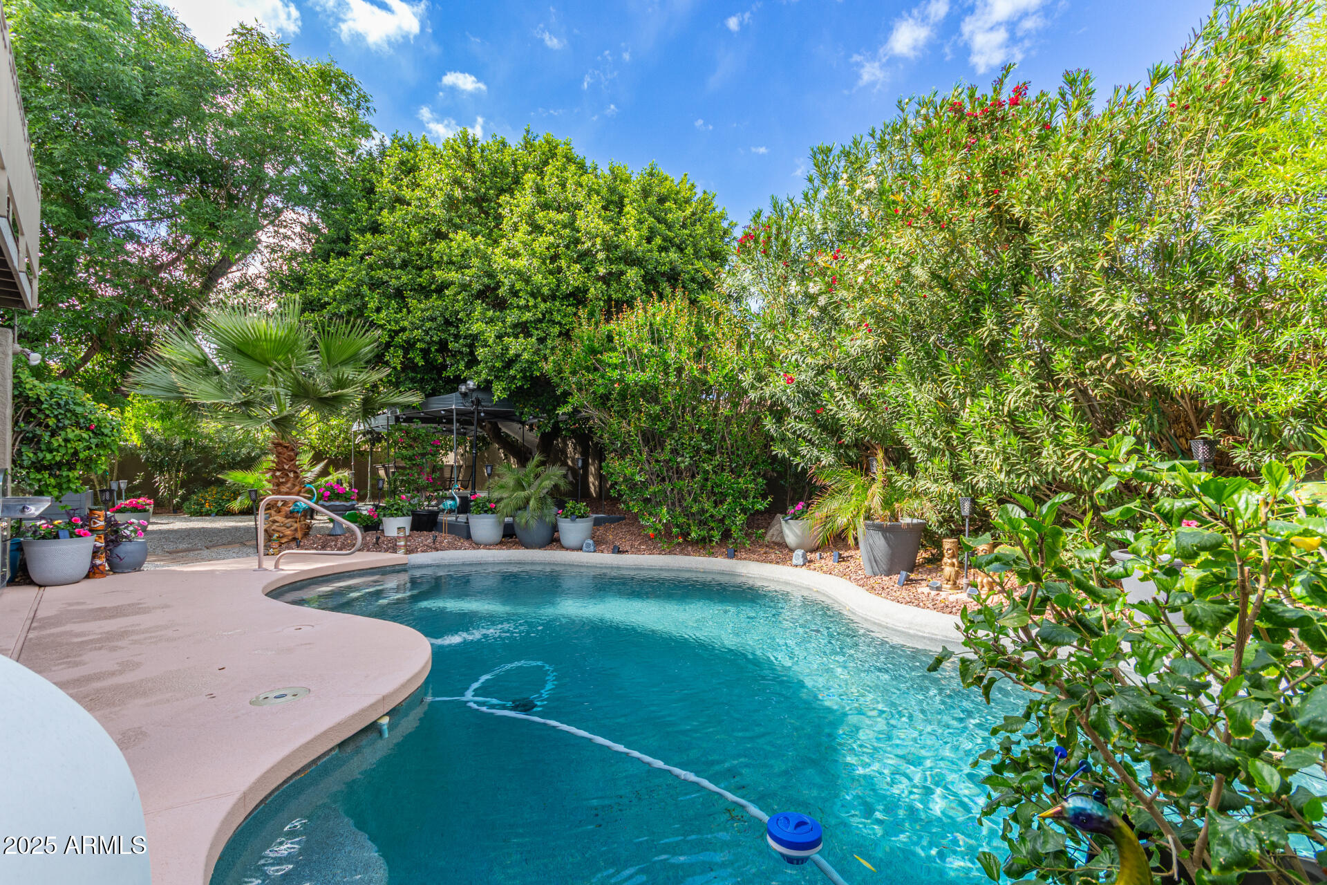 7162 W LONE CACTUS Drive