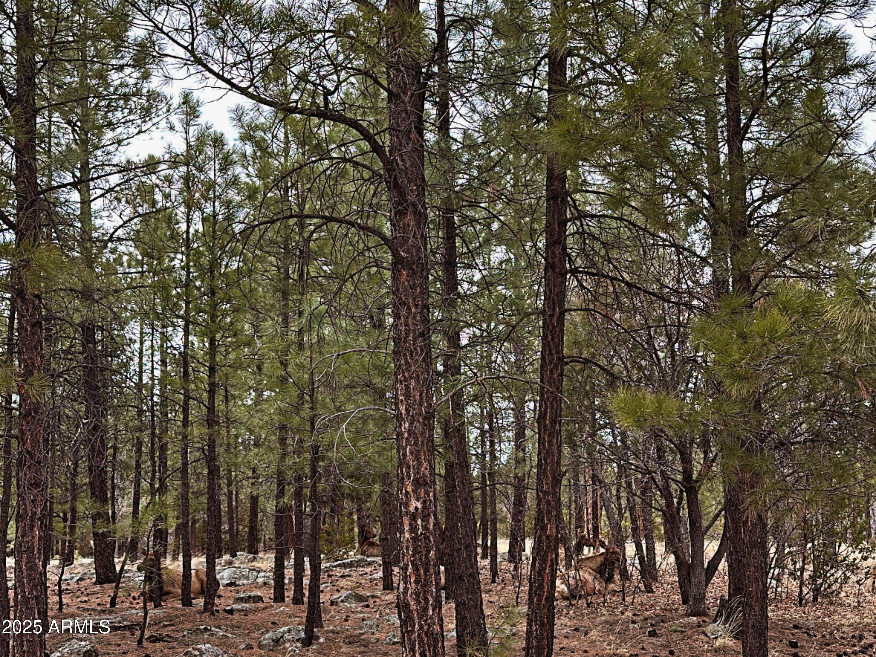 2120 AZTEC Circle 171