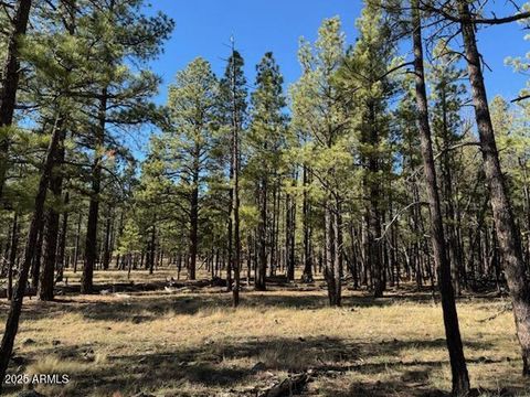 Lot 3L N Quintana Drive - Flagstaff AZ 86001