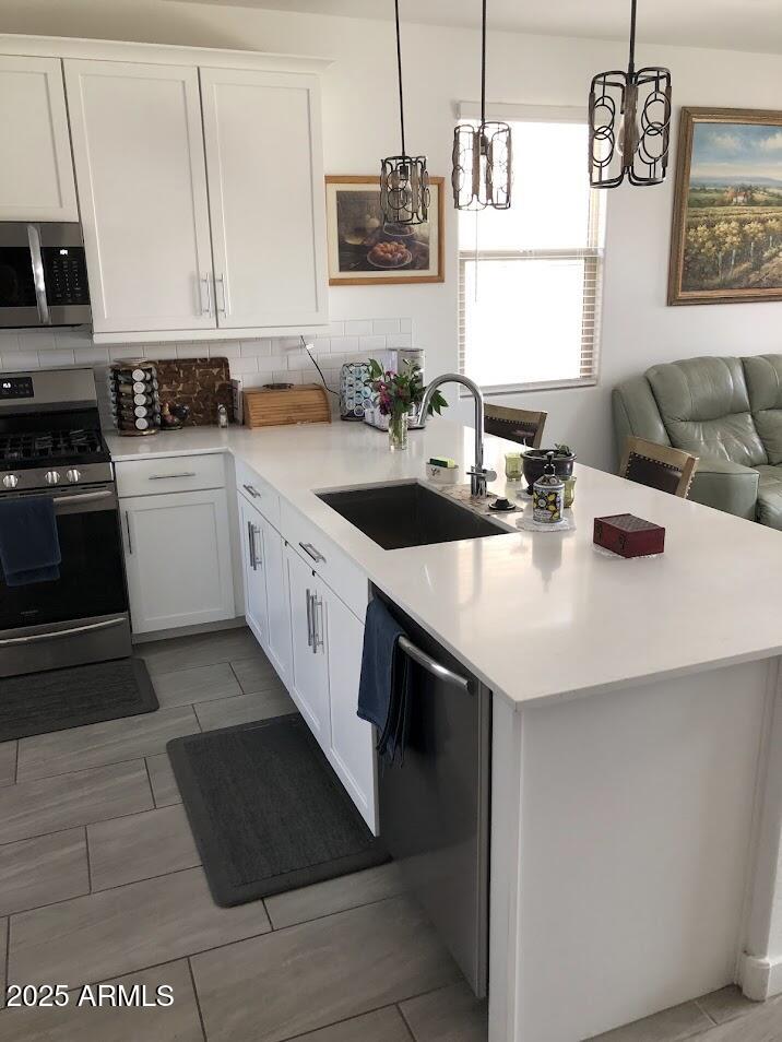 19443 W PIERSON Street