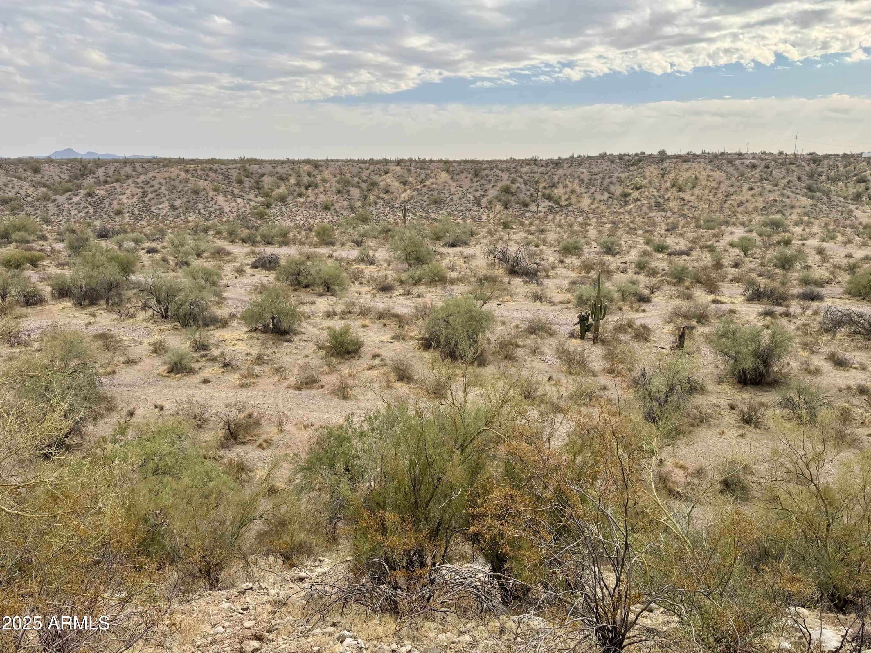 43925 N Saguaro Blossom Lane -