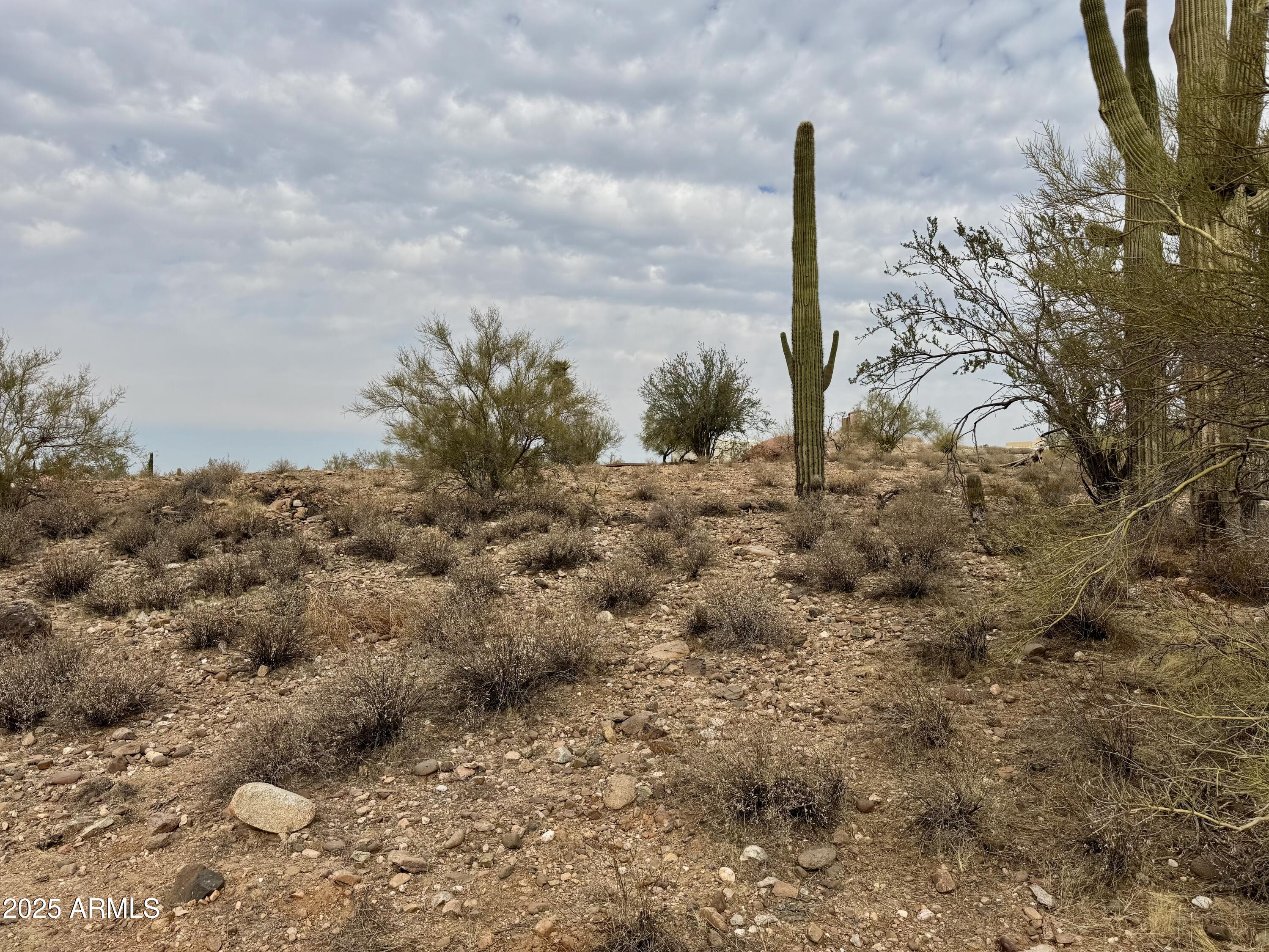 43925 N Saguaro Blossom Lane -