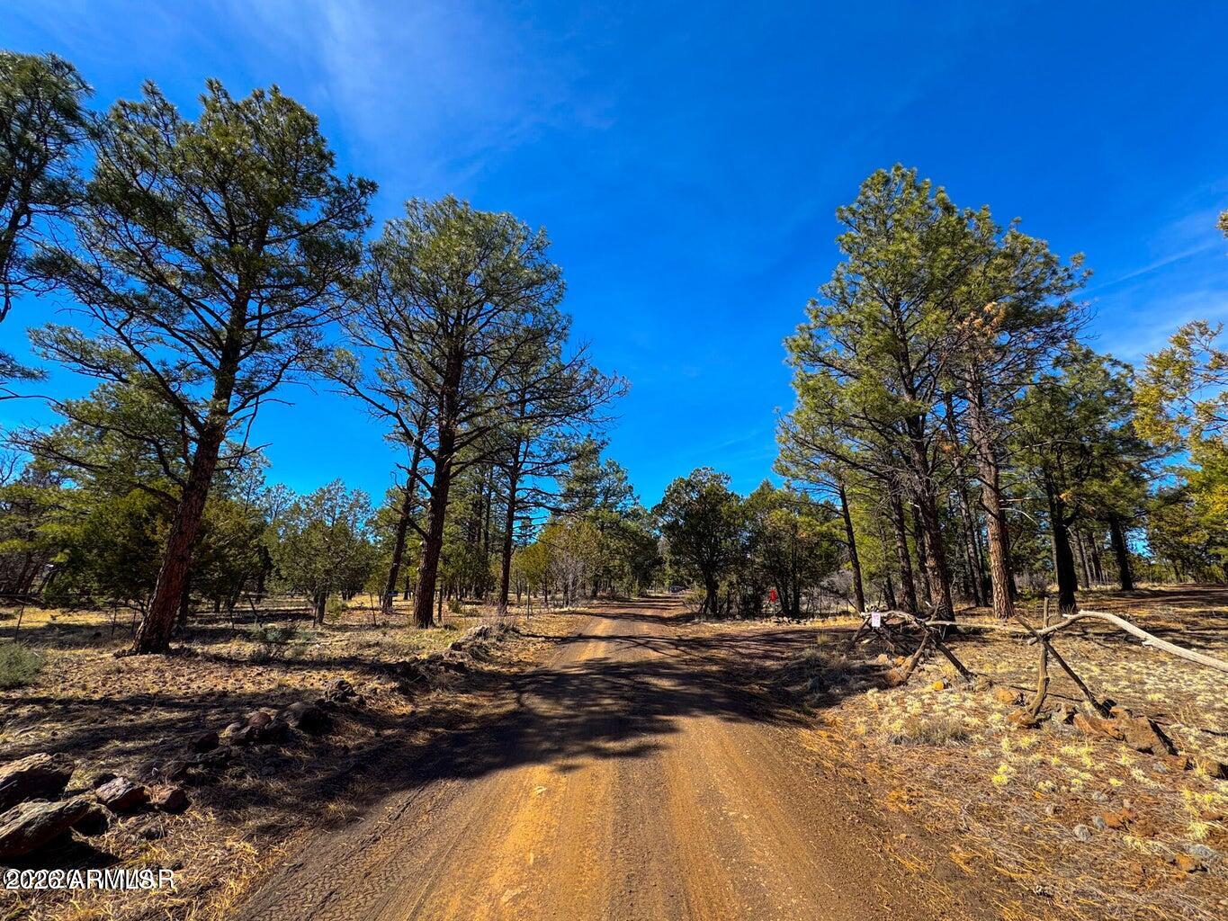 11 Co Rd 3262 5 Acres -- -