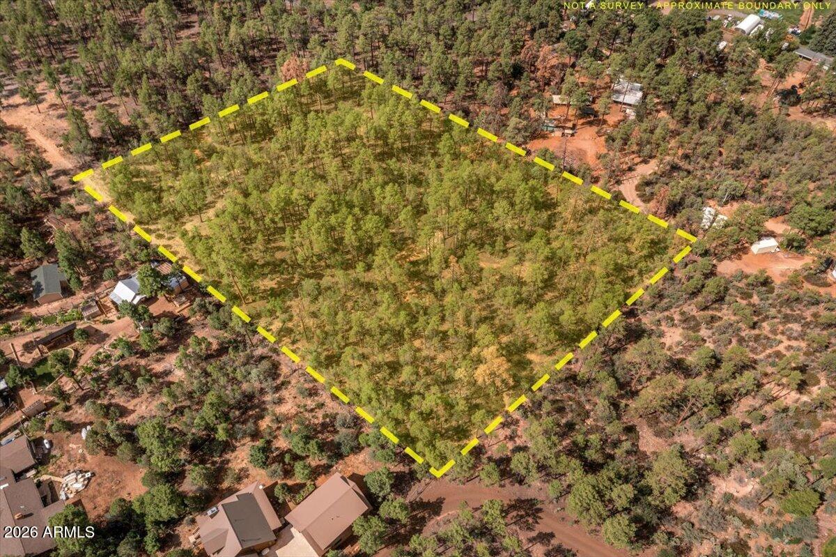 TBD Pine Needle Drive -