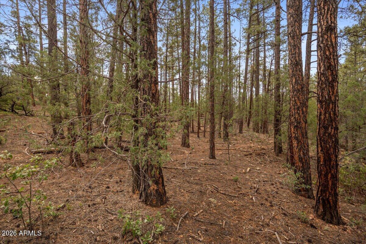 TBD Pine Needle Drive -