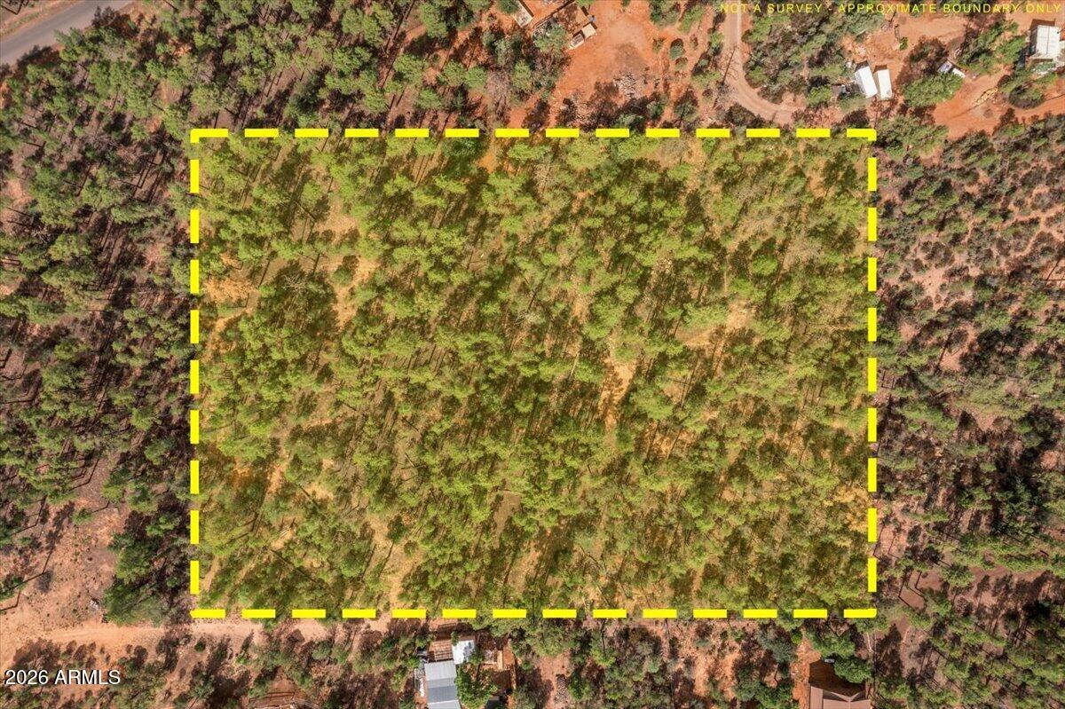 TBD Pine Needle Drive -