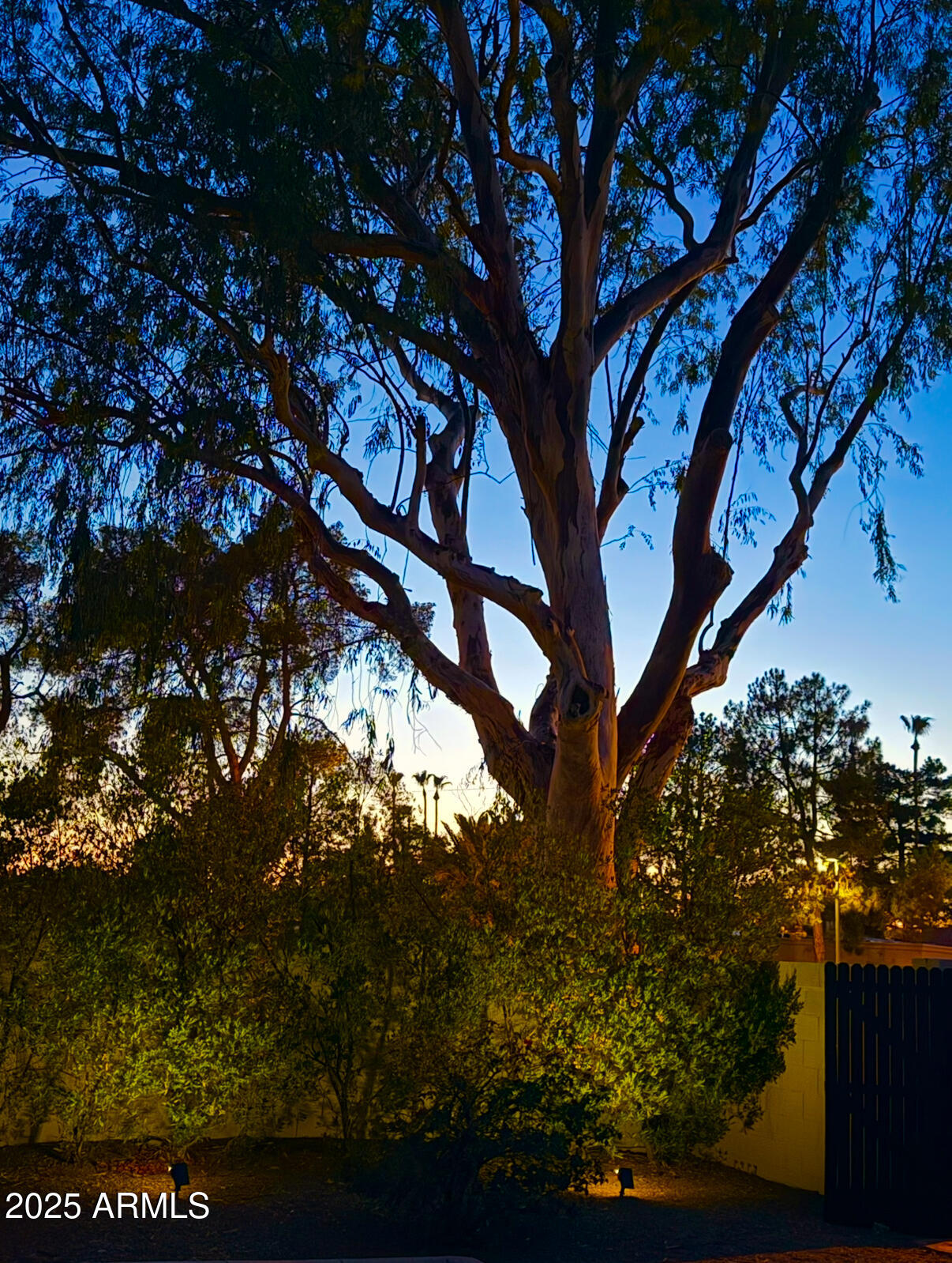 Phoenix, Arizona 85018, United States, 3 Bedrooms Bedrooms, ,2 BathroomsBathrooms,Residential,Active,154533