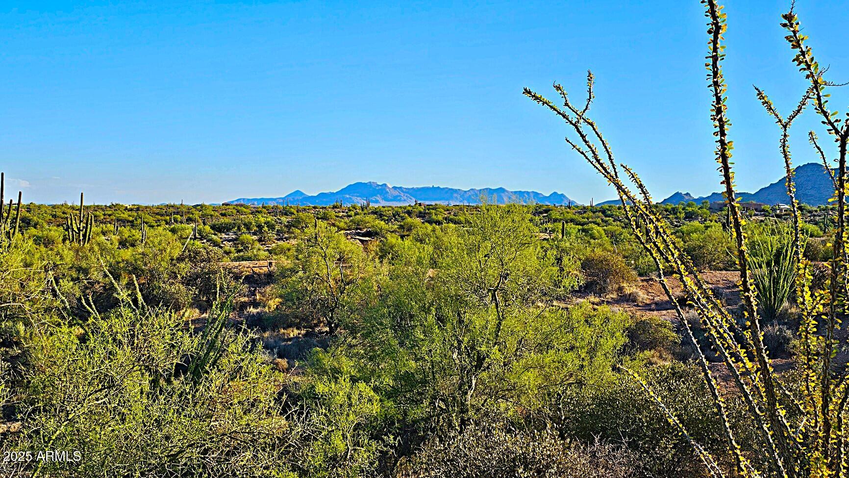 Rio Verde Foothills - Backs to Tonto National Forest - Land