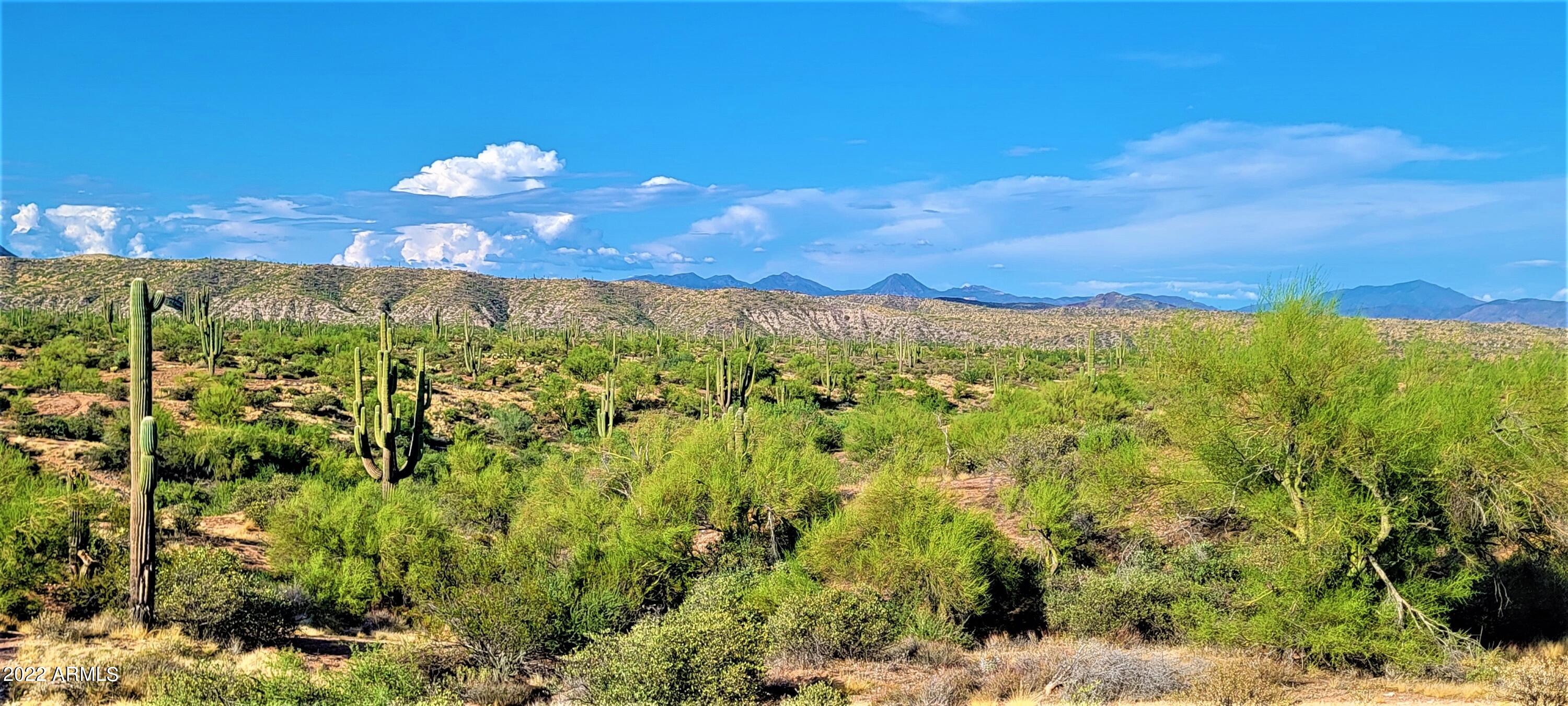 Rio Verde Foothills - Backs to Tonto National Forest - Land