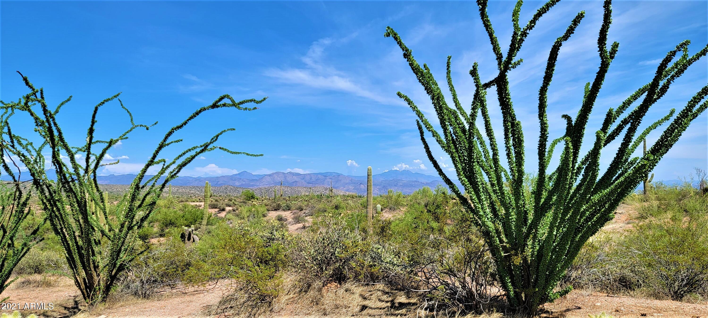 Rio Verde Foothills - Backs to Tonto National Forest - Land