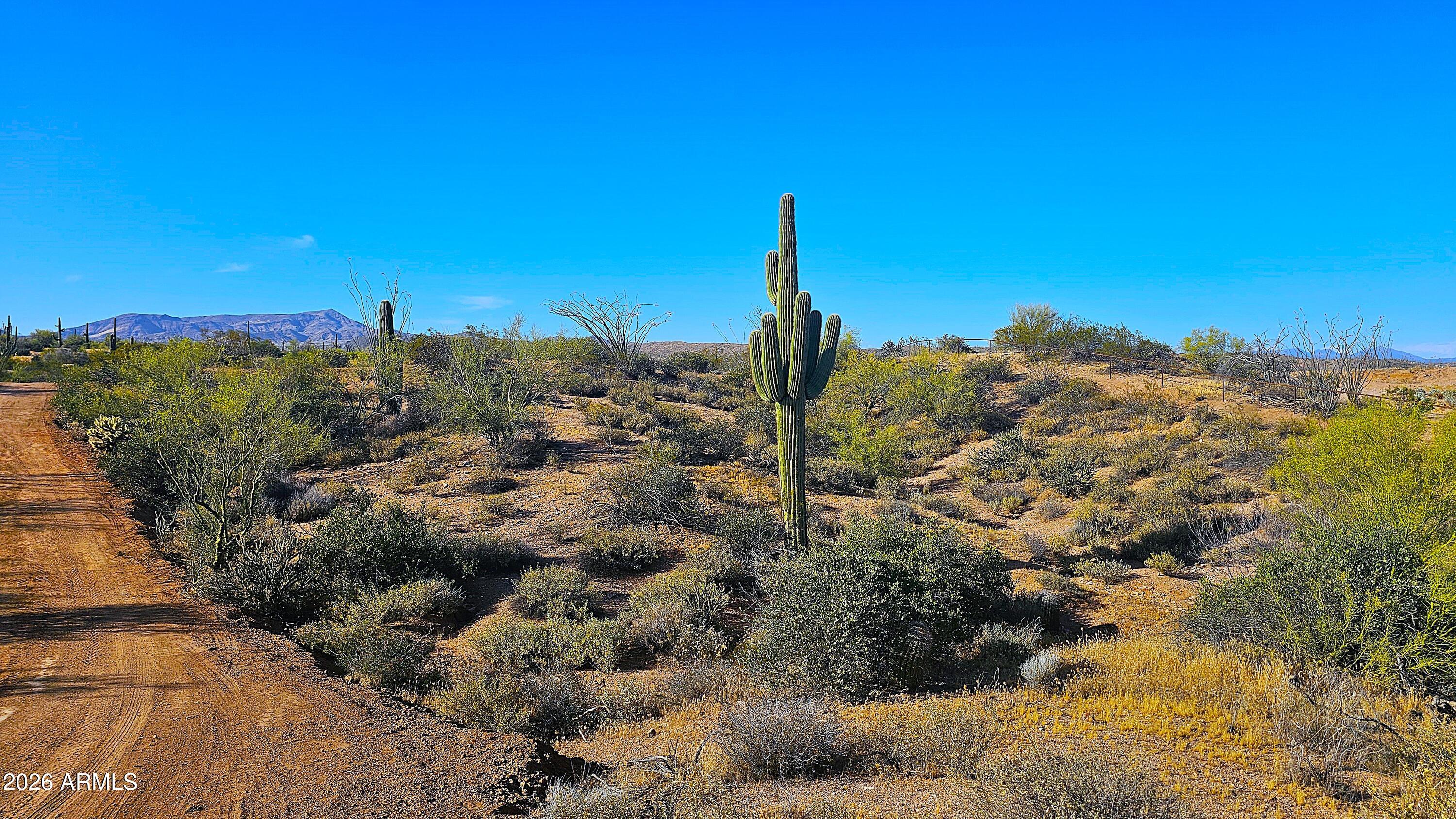 Rio Verde Foothills - Backs to Tonto National Forest - Land