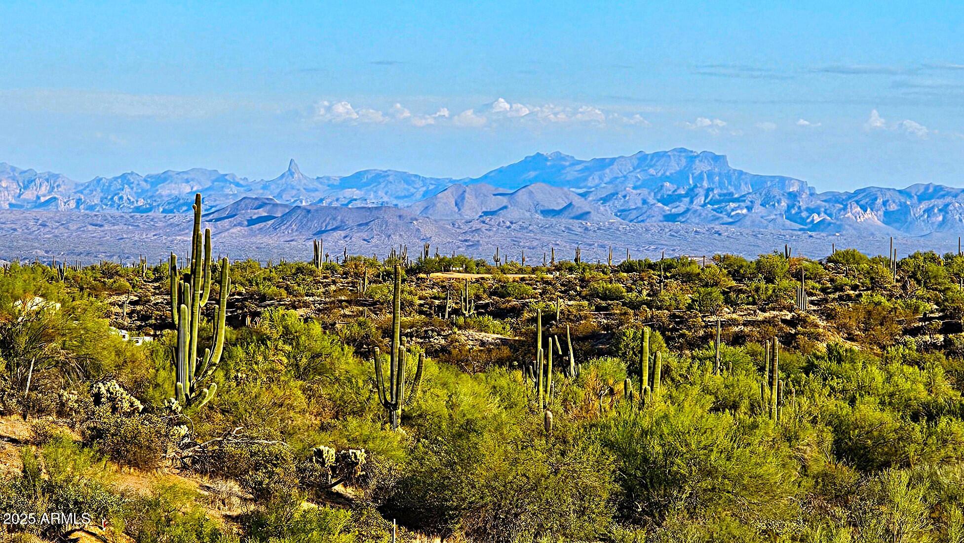 Rio Verde Foothills - Backs to Tonto National Forest - Land