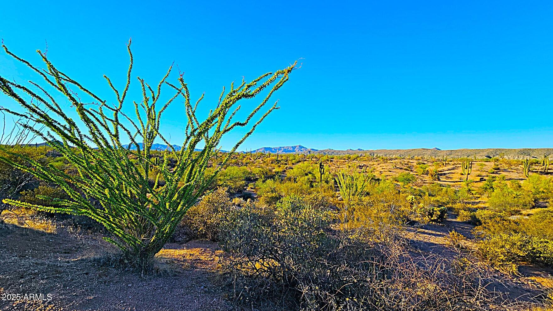 Rio Verde Foothills - Backs to Tonto National Forest - Land