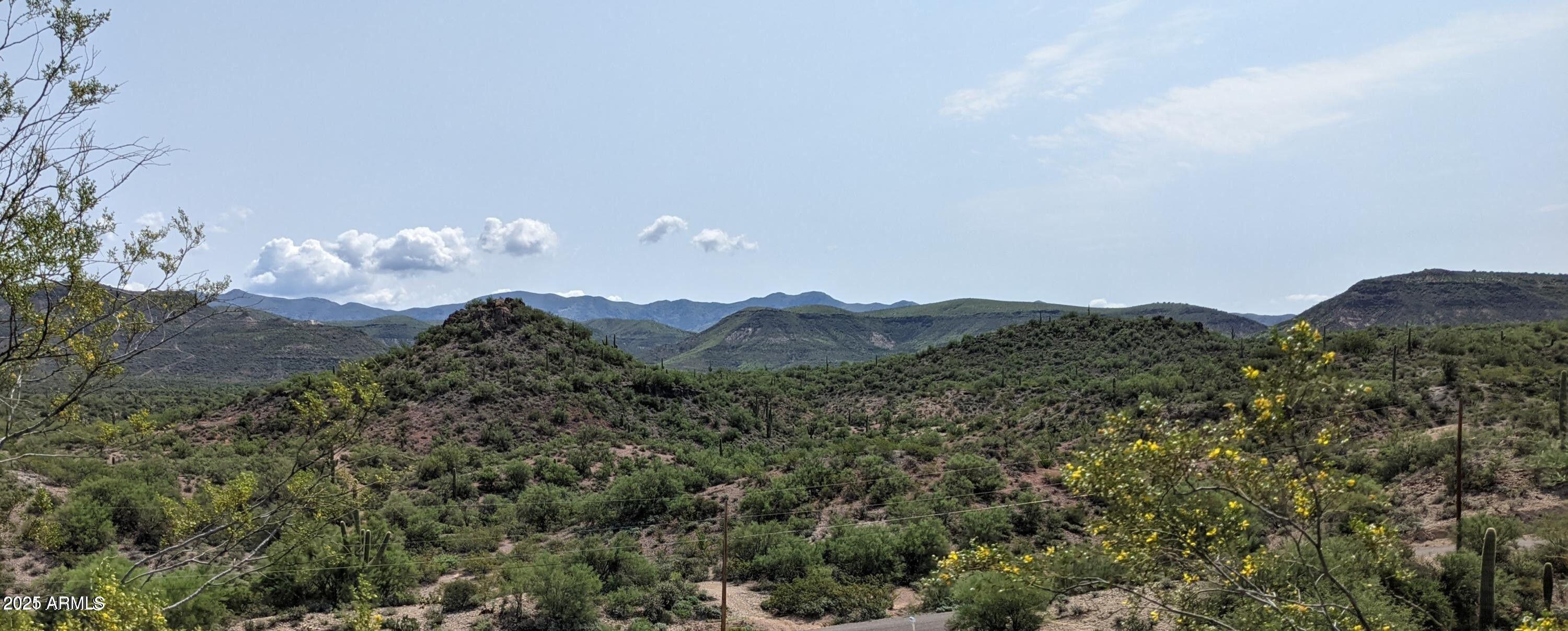 34930 S CHOLLA Drive