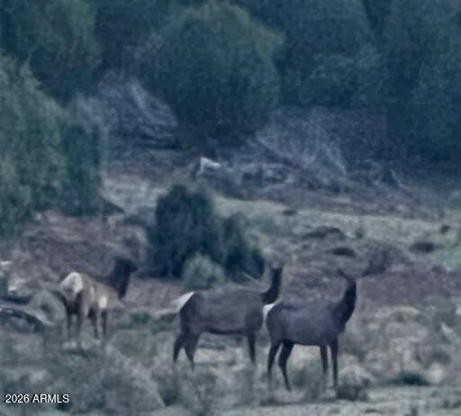 Fort Rock Ranch - Land