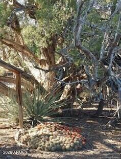 Fort Rock Ranch - Land