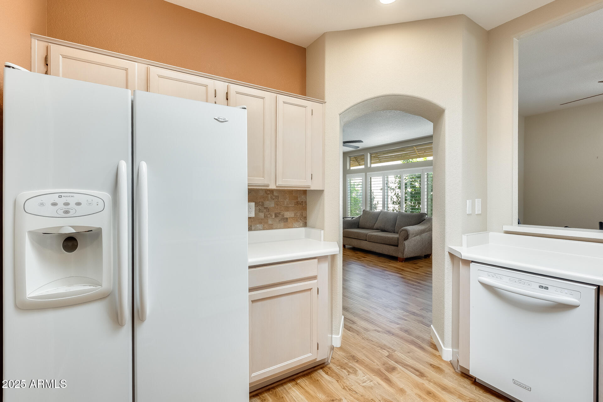 SUN CITY WEST 50 LOT 1-205 - Residential