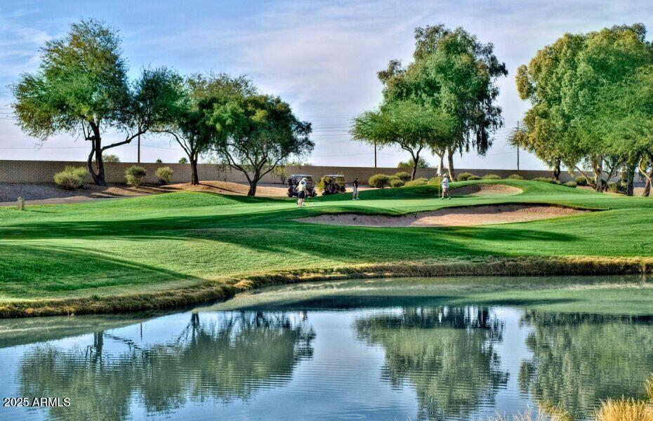 SUN CITY WEST 50 LOT 1-205 - Residential