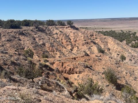 Lot 96 Bonito Valley Ranch -- 96 St Johns AZ 85936