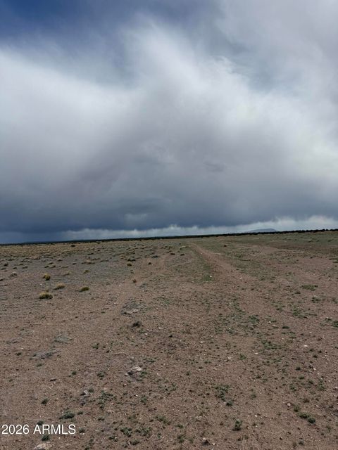 TBD N6462 -- 104 St Johns AZ 85936