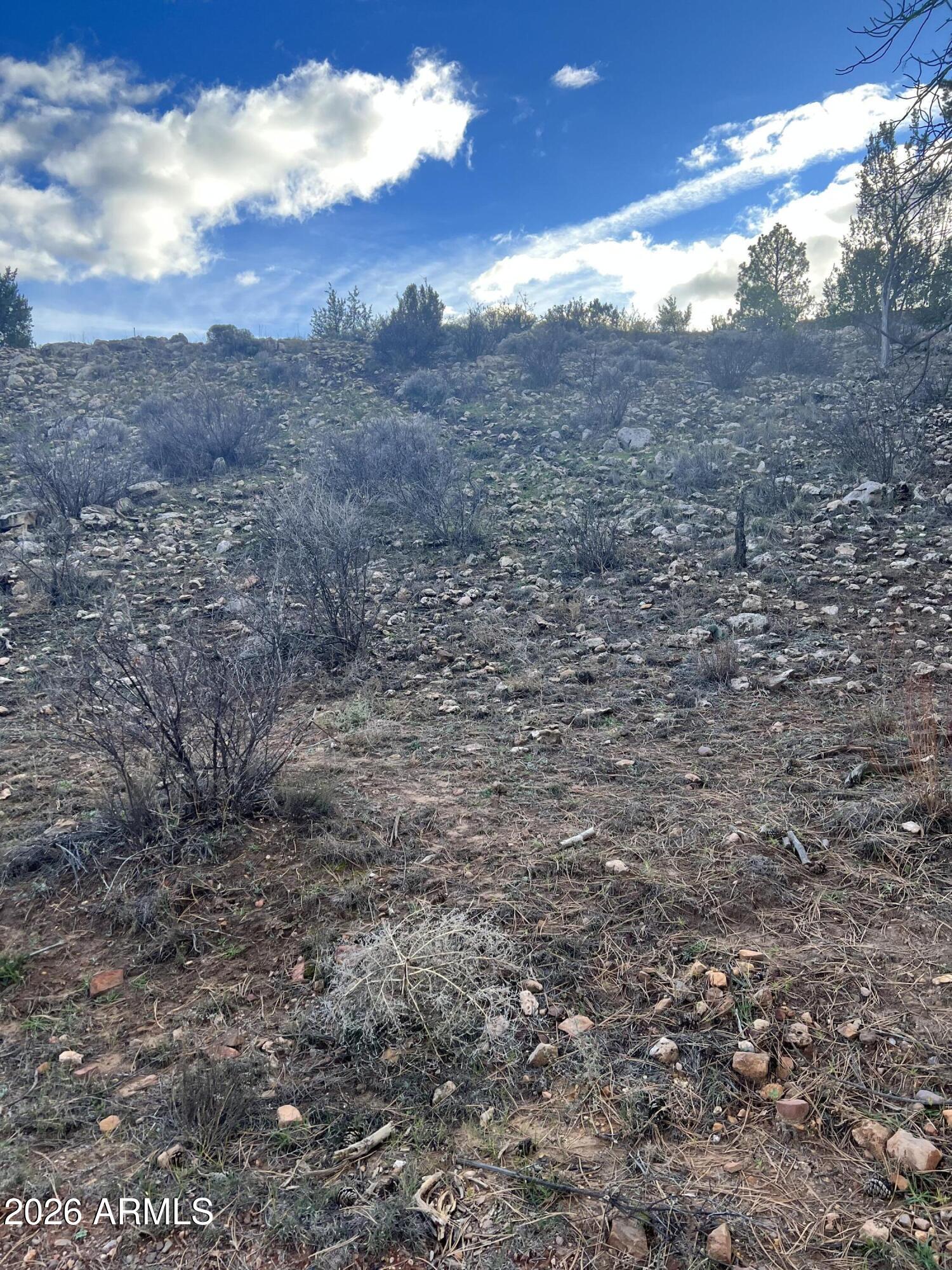 PINE MEADOWS UNIT 3 - Land