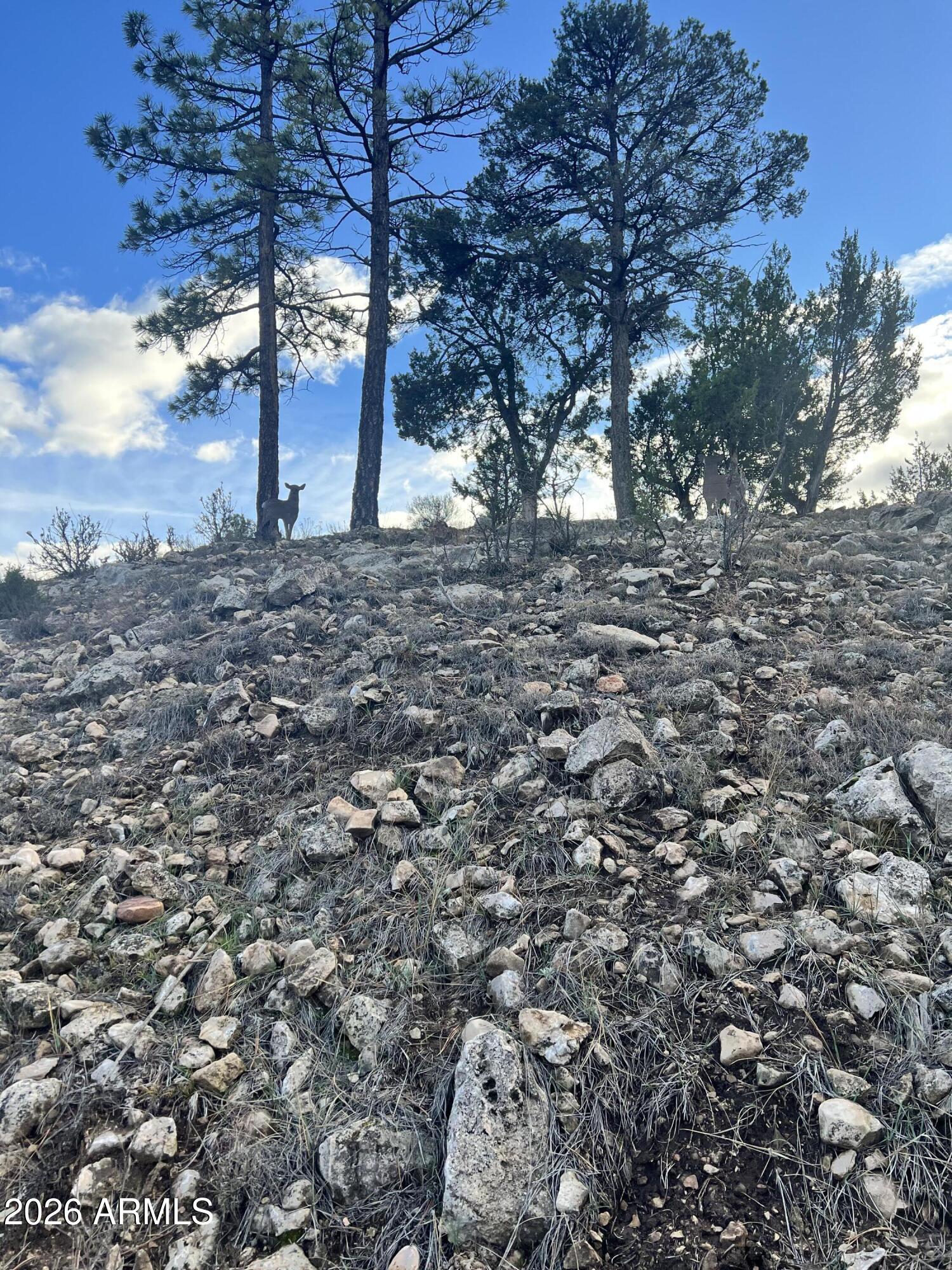 PINE MEADOWS UNIT 3 - Land