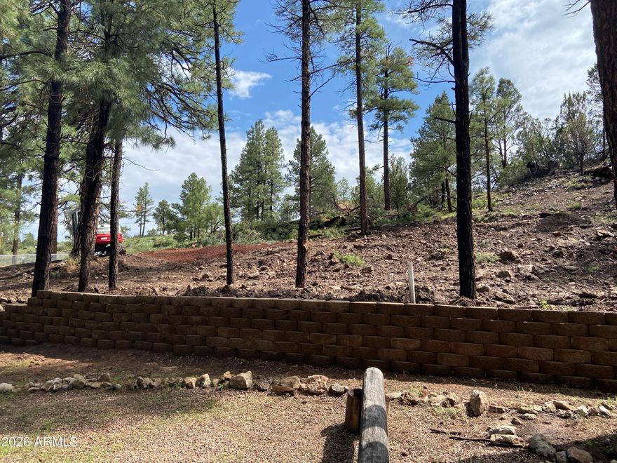 Beautiful wooded lot nestled among mature pines in the desirable Pine Hill area of Overgaard. This spacious parcel offers a serene mountain setting with level to gently sloping terrain, ideal for building a custom cabin, full-time residence, or weekend retreat. Enjoy cool summer temperatures, star-filled night skies, and the peaceful atmosphere of Arizona's high country.