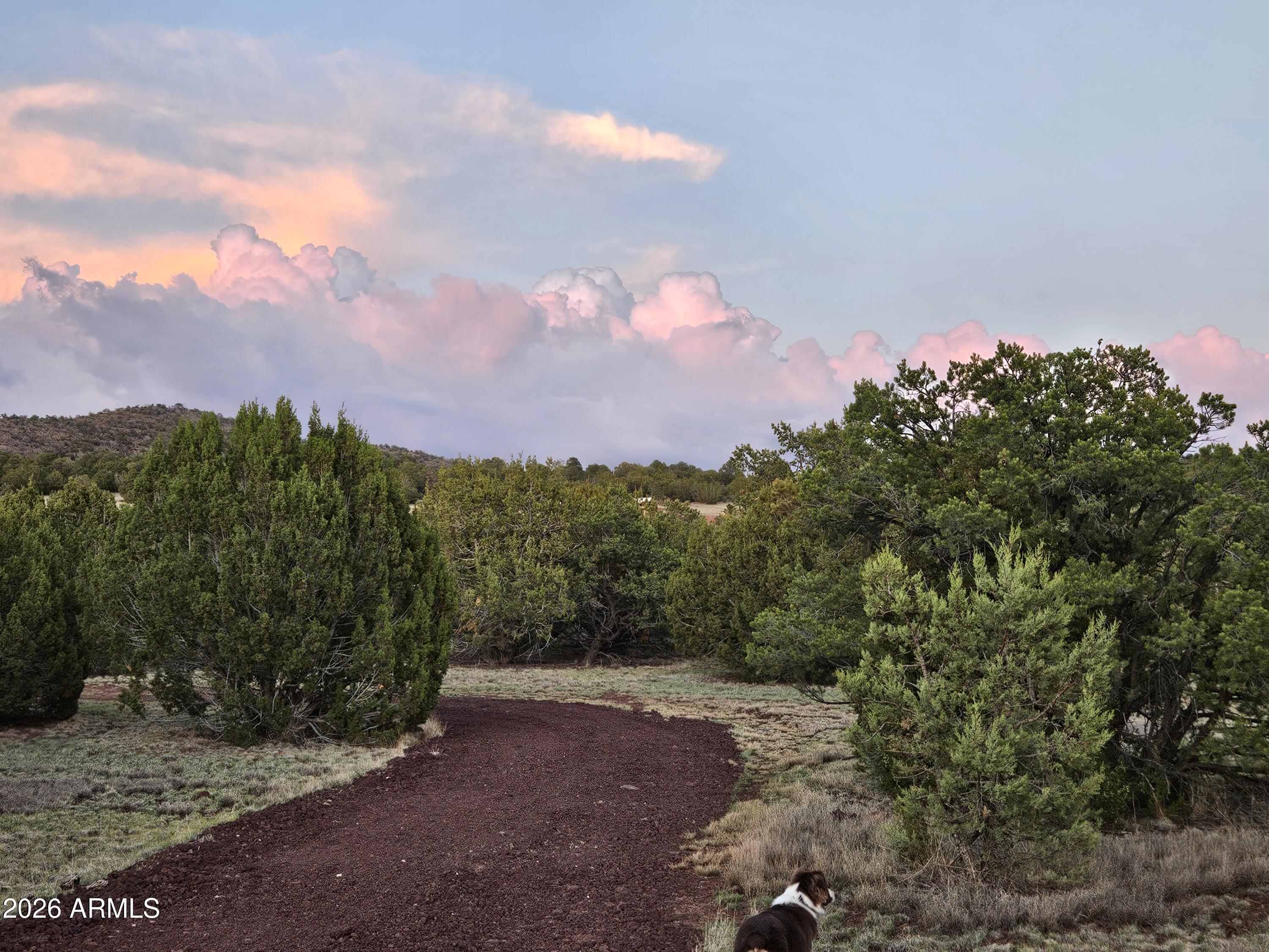 1760 W HONEYSUCKLE Road 5