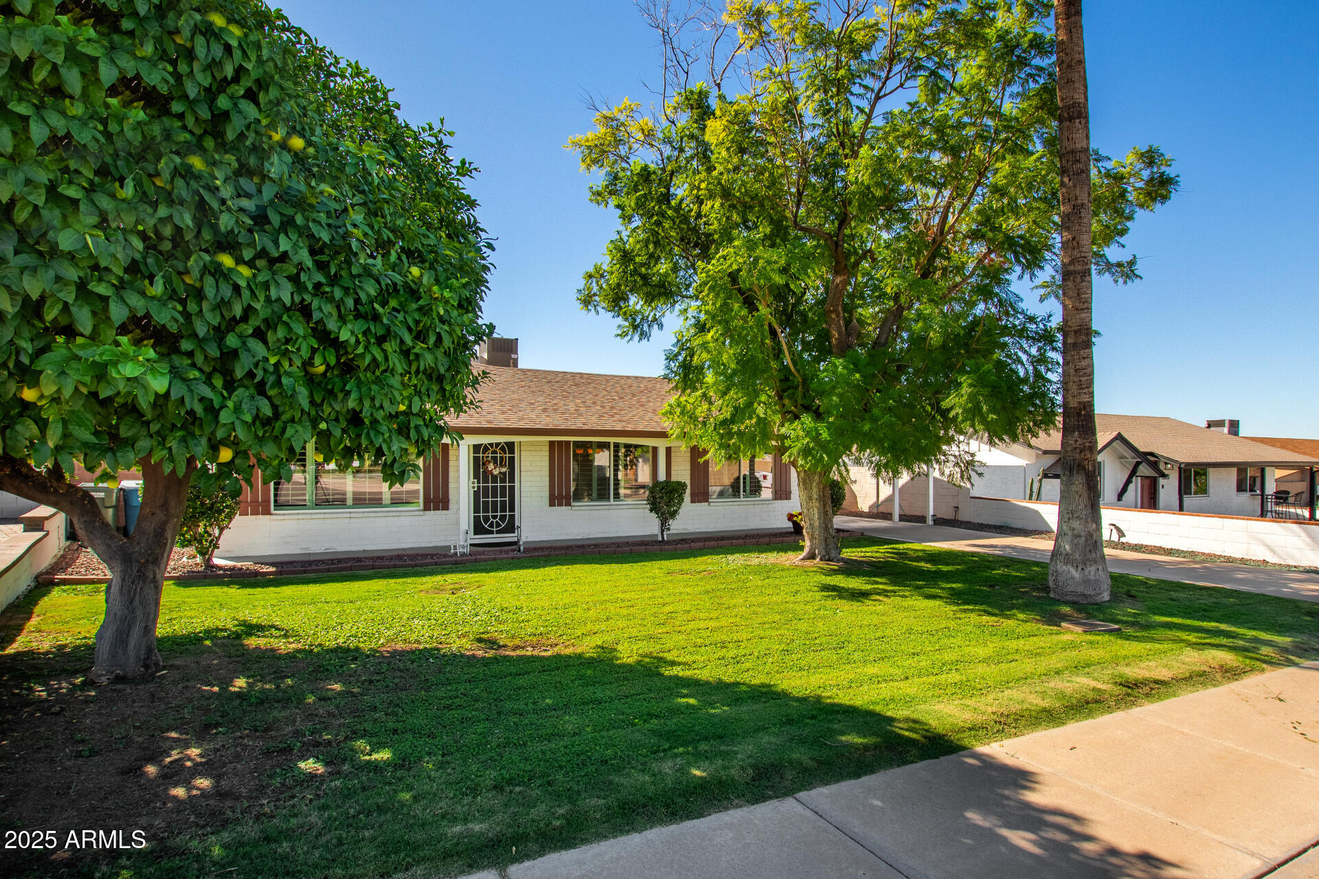 1517 E Carol Avenue