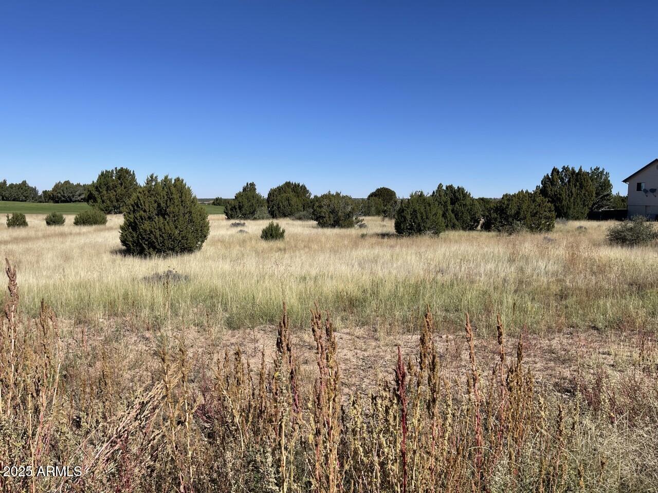 WHITE MOUNTAIN LAKES UNIT 1 - Land