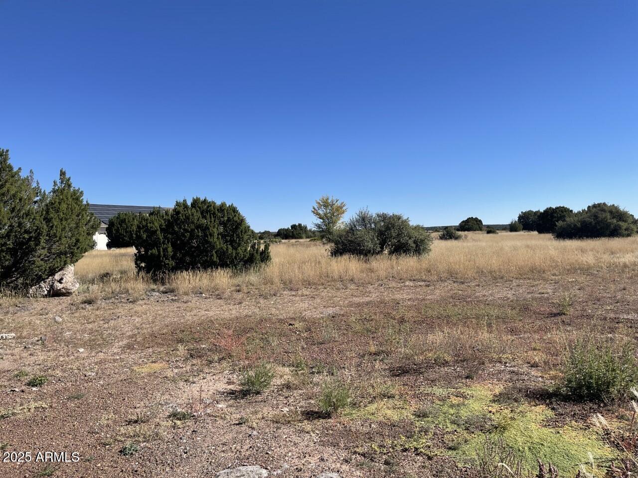 WHITE MOUNTAIN LAKES UNIT 1 - Land
