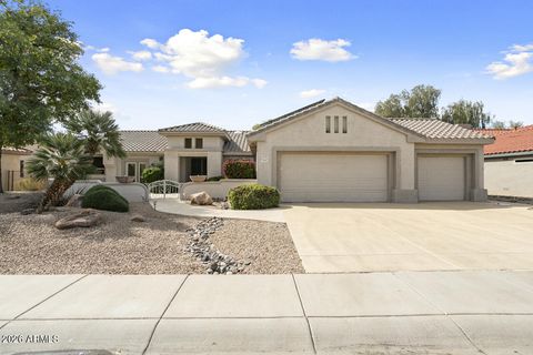 18042 N PETRIFIED FOREST Drive Surprise AZ 85374