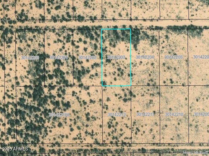 1+ acre of heaven.  Two adjoining lots available!  ID:  301-42-203 & 212