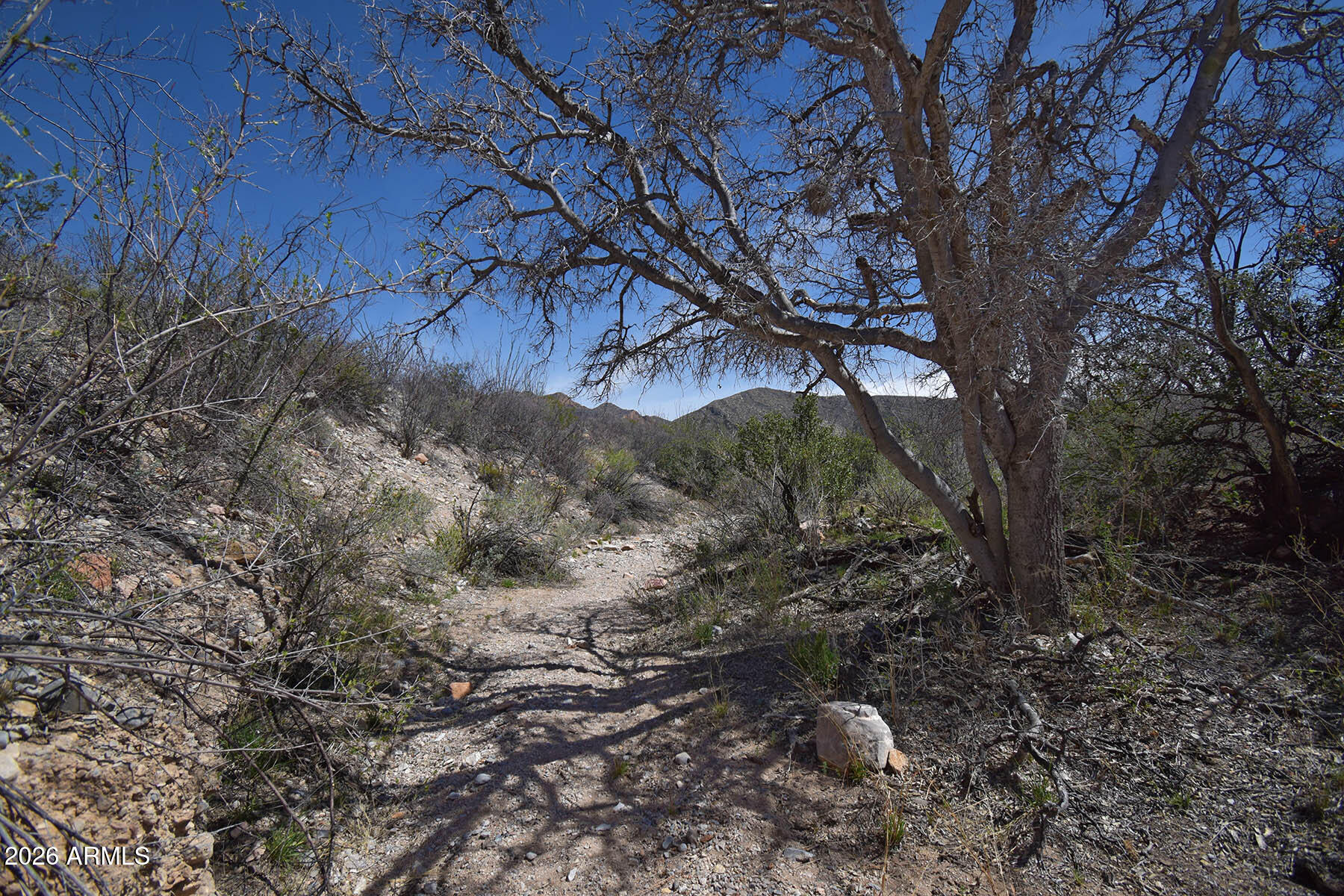 285 AC E Calle 21 -- -