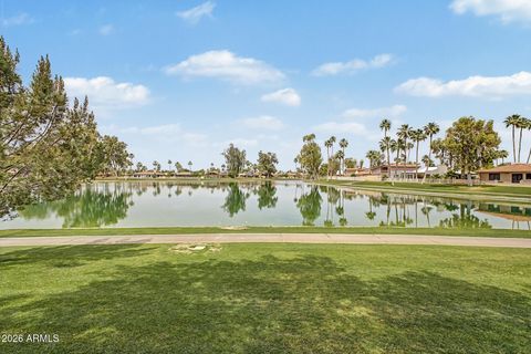 10006 E WATFORD Way Sun Lakes AZ 85248