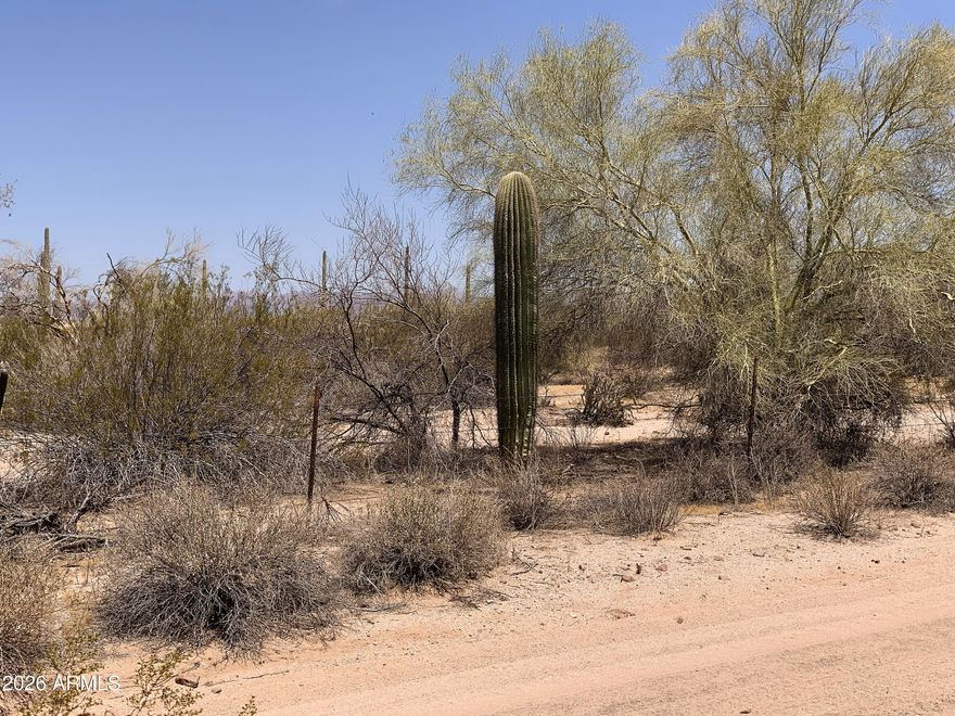 Head for the Country! Discover peaceful country living on this beautiful 1.26-acre parcel in Florence's countryside. Enjoy sweeping desert views with the iconic Superstition Mountains on the horizon, framed by native vegetation, Saguaro Cacti, and Palo Verde trees. BLM land borders to the north, preserving your open vistas and serenity. Located just 20 minutes east of historic downtown Florence, it offers the ideal balance of seclusion and convenience. Electric is nearby, road access is in place, and the lot is ready to build. Seller may carry -- making it a perfect fit! Ready for wide-open skies and desert tranquility? Grab your piece of Florence Countryside Today!