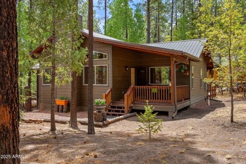 2 County Road 2069 -- Alpine AZ 85920