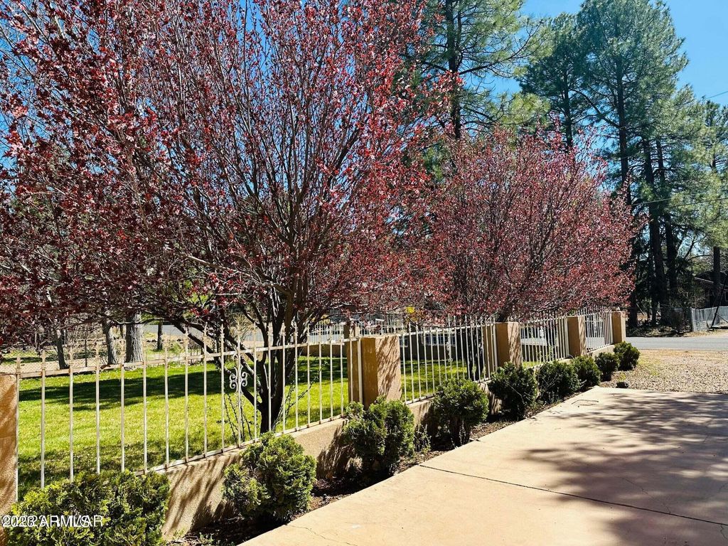 Photo of 1080 W Apache Lane, Lakeside, AZ 85929 (MLS # 6936104)