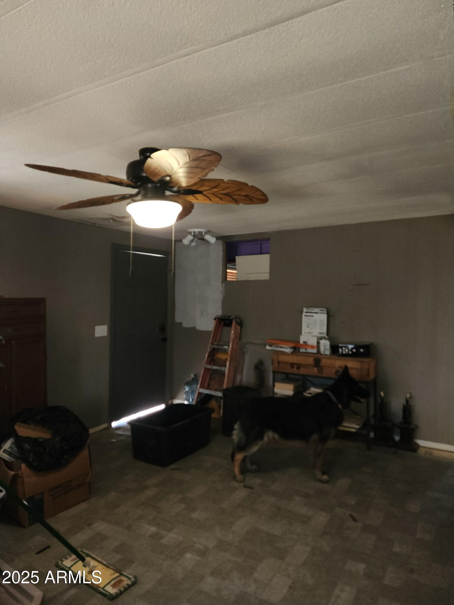 1388 E COTTONWOOD Lane