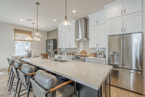 127 W HOLCOMB Lane Phoenix AZ 85003