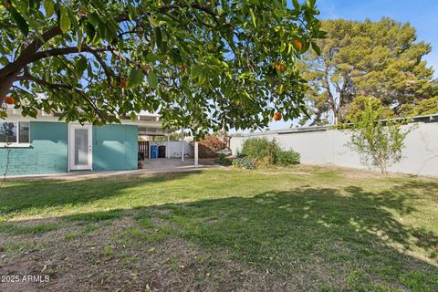 listing image 44
