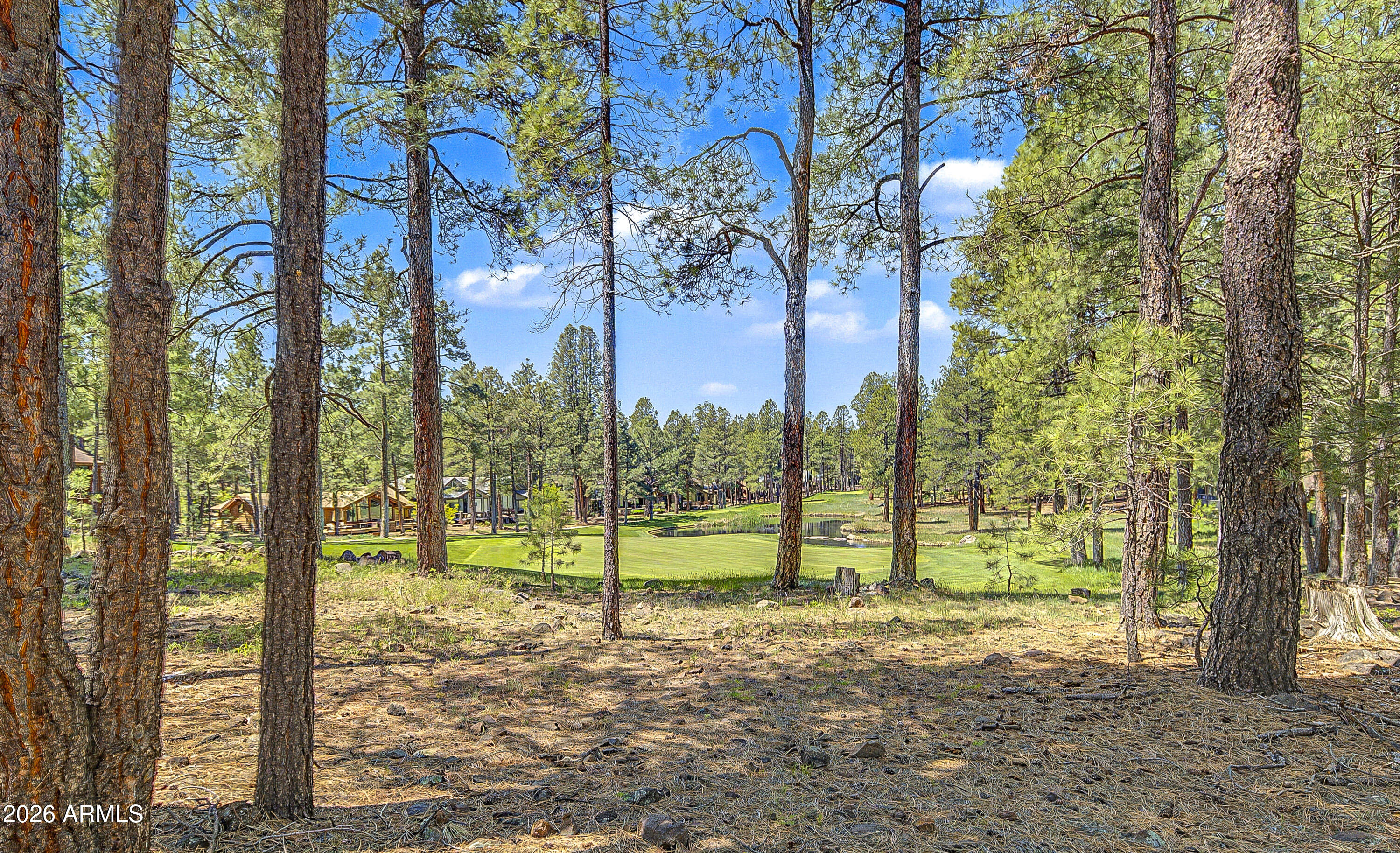 Forest Highlands - Residential