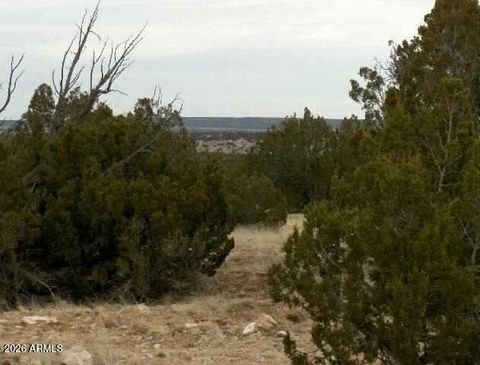 Lot 302 Chevelon Canyon Ranch -- 302 Heber AZ 85928
