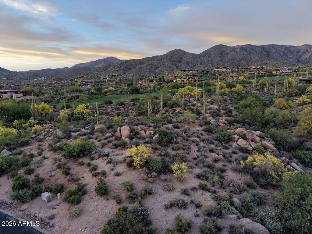 41799 N 99TH Place 153